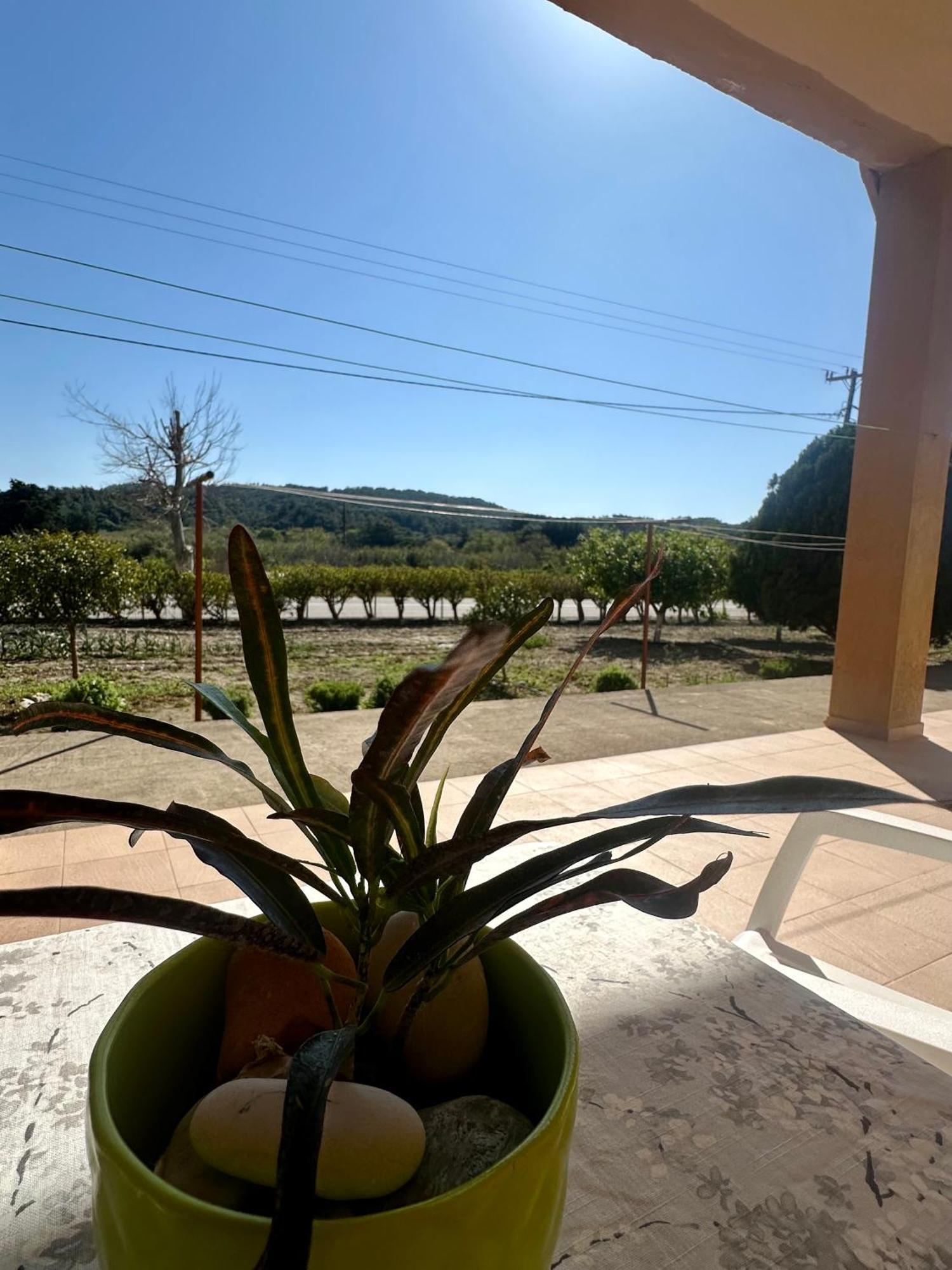 Garden View Appartment Kalavárda Zewnętrze zdjęcie